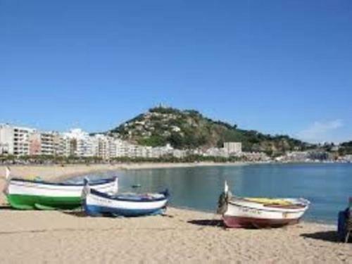 Apartamento En Blanes Con P�rquing