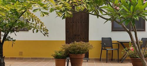 Apartamento La Finca III