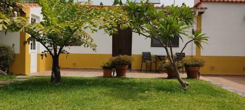 Apartamento La Finca III