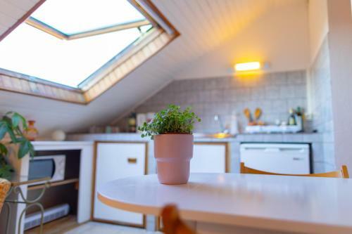 Apartamento Studio Cocon Sous Les Toits De Jaur�s