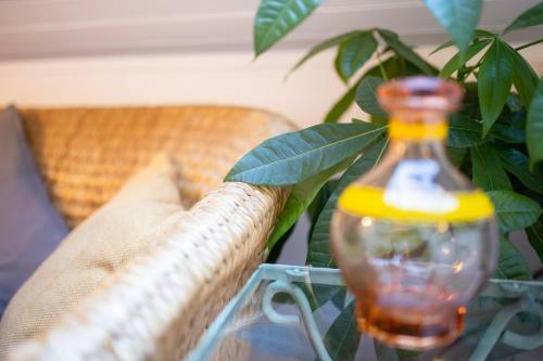 Apartamento Studio Cocon Sous Les Toits De Jaur�s