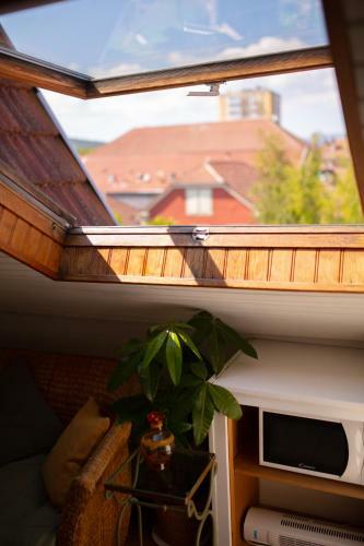 Apartamento Studio Cocon Sous Les Toits De Jaur�s