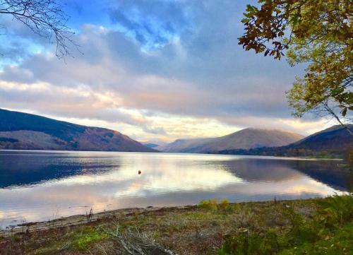 Seal Point Cabin - Luxury Glamping