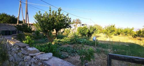 Yiayia's Traditional Home