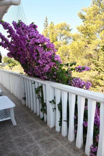 Hostal Luma Rooms