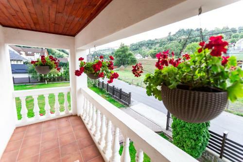 Hostal Pensiunea Ionela