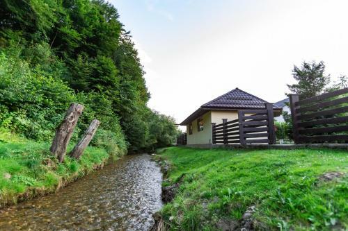 Hostal Pensiunea Ionela