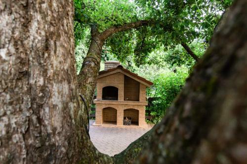 Hostal Pensiunea Ionela