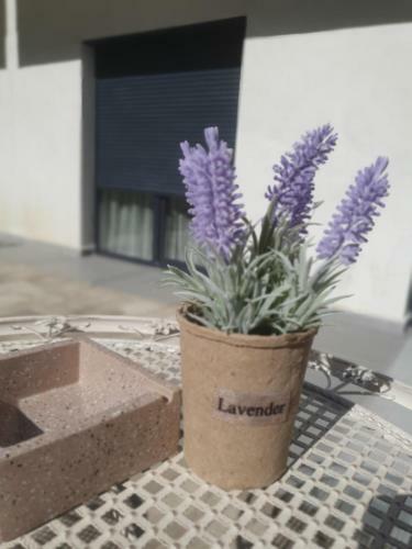 Apartamento Ale House