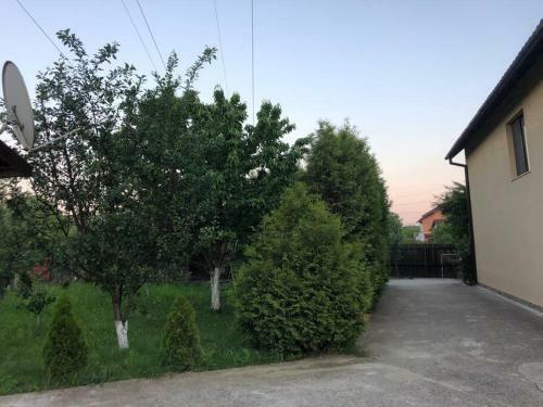 Villa Vila Alma Pitesti