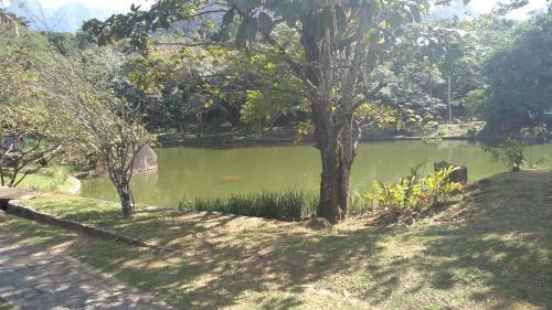Espa�o Verde Entre O Lago E A Montanha