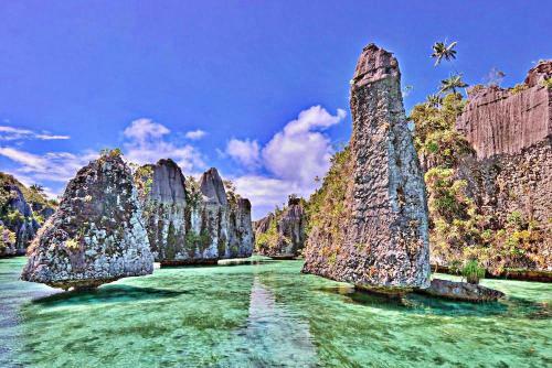 Package Tour Raja Ampat