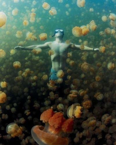 Package Tour Raja Ampat