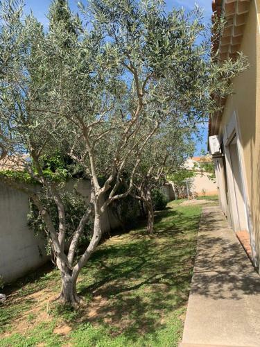 Villa Proche Cap D?agde