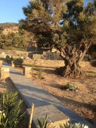 Loutra Olive Garden Stone House #3