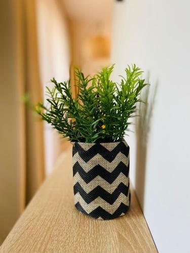 Apartamento Cozy Little Place