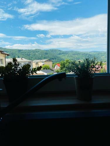 Apartamento Cozy Little Place