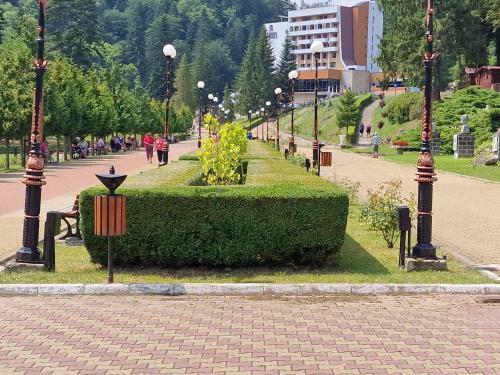 Apartment Slanic Moldova