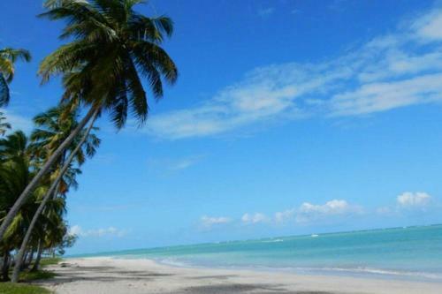 Apartamento Flat Bem-vindo Bella Mar�
