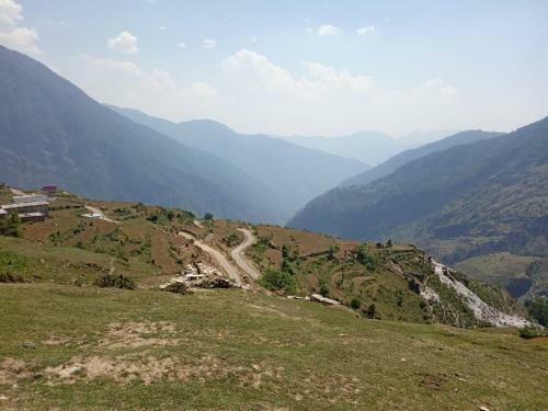 Mountain Home (minivet)