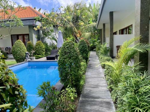 Hostal Davit Guest House
