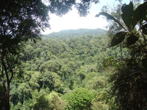 Agroturismo Lucky Bamboo