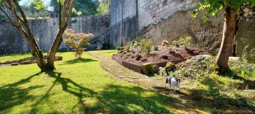 Apartamento Ch�teau Des S�n�chaux, Bourdeilles