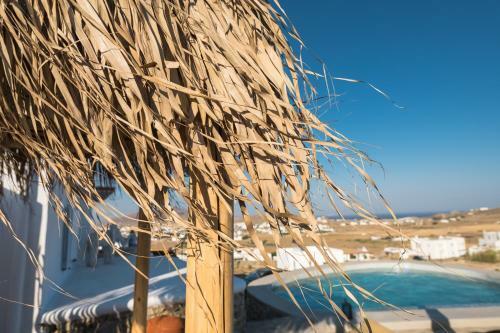 Hotel Diamond Of Mykonos