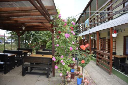 Apartament Doriana