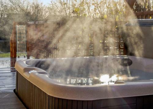 Hotel Gadlas Park Holiday Cabins