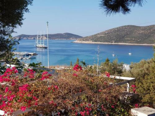 Traditional Comfortable Apartment With Sea View