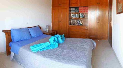 Irene's Apartment Salakos