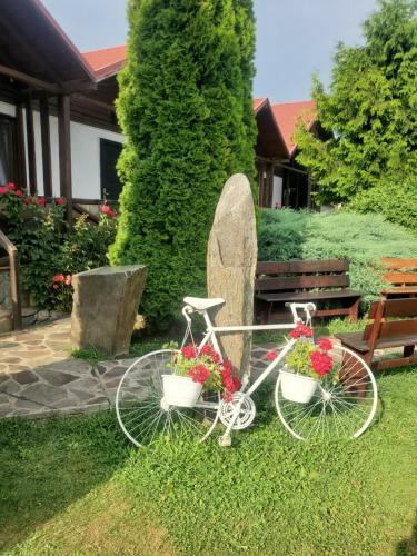 Hostal Complex Valea Argesului