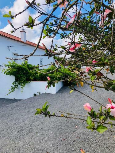 Quinta Da Corte