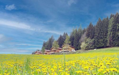 Hochleben-chalets Am Erlebnisbauernhof Steinerhof