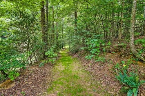 Spacious Blue Ridge Cabin With Private Hot Tub!