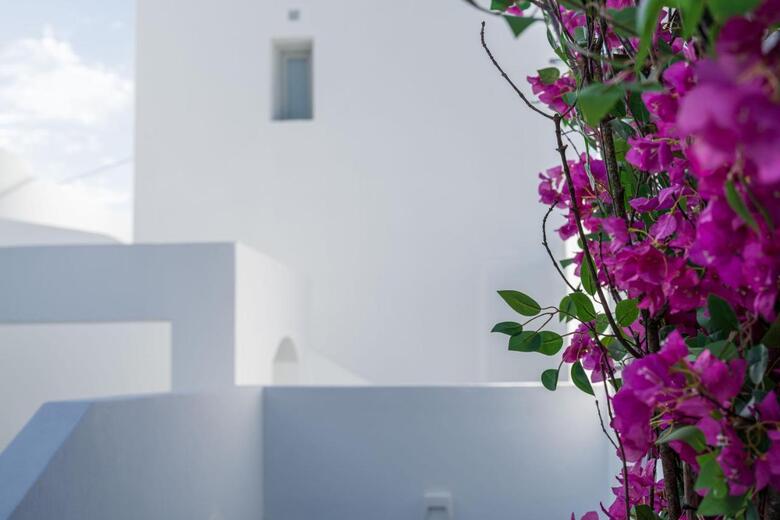 Hotel Cycladic Suites