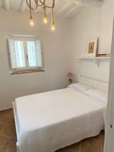 Apartamento Casa Ofelia