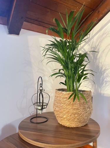 Apartamento Eleni's Guesthouse