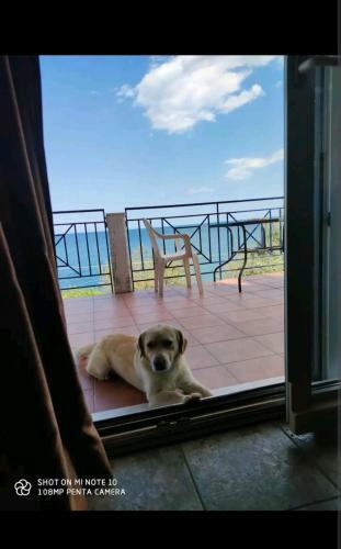 Agroturismo ??????? (michael) Villa