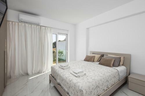 Viviane Paulos Villa