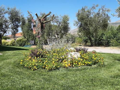 Bed & Breakfast La Campagna Di Peppe E Tullia