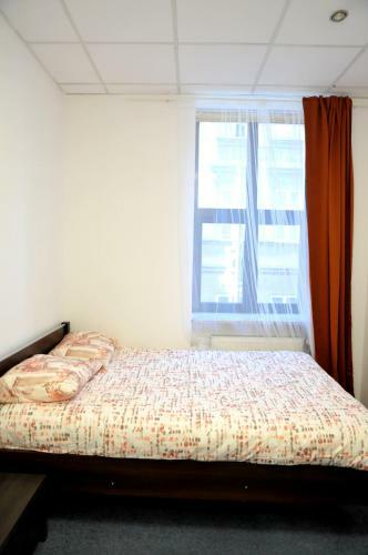 Bed & Breakfast Erasmus Rooms - Economic