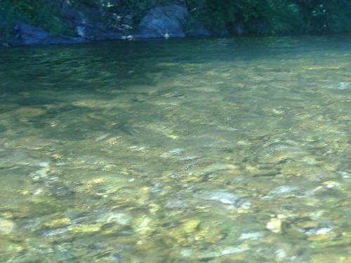Bed & Breakfast Le Mas Des Sources C�venol