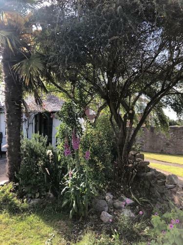 The Nook Cottage