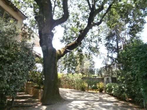 Bed & Breakfast Antico Casale Delle Rose
