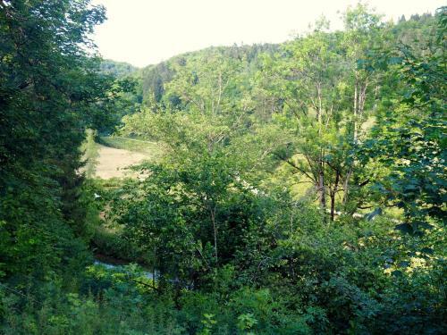 Apartamento Schloss Ehrenfels