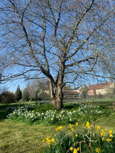 Bed & Breakfast Boudoir&brunch @ Bullen Court