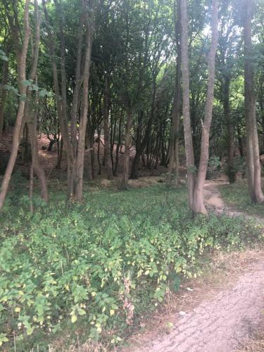 Narnia Norfolk