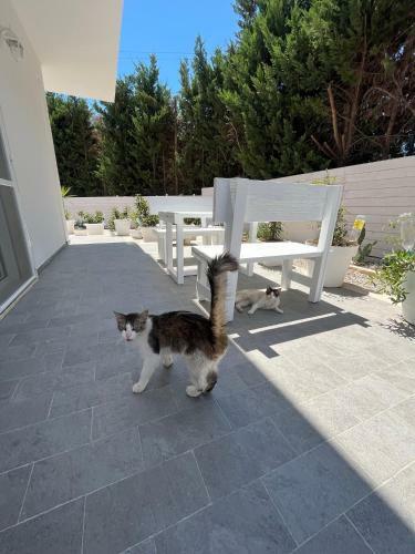 Bed & Breakfast La Casa Di Nina